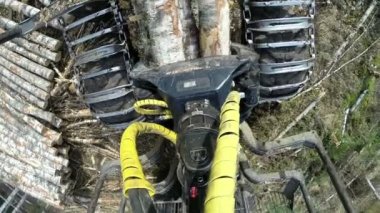 Orman iş. Üstten Görünüm eylem fotoğraf makinesi ile çekilen