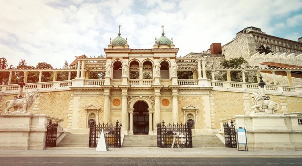 Visa på trappan till Buda slott från street — Stockfoto