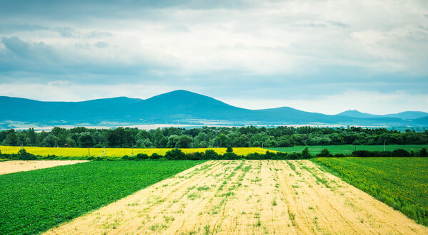 красочная панорама поля с сельской местностью и горами на фоне
