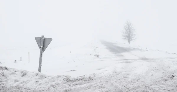 Foggy road with sign and lonely tree — Stock Photo, Image