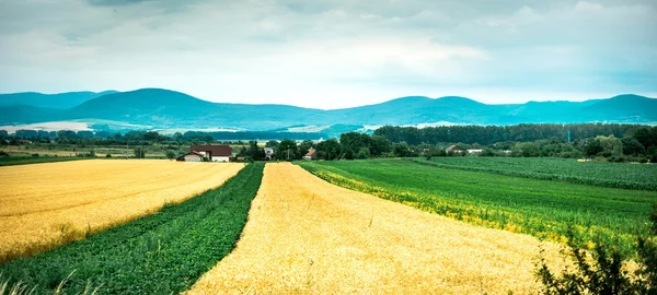 Kolorowy panorama pola z wsi i górami w tle — Zdjęcie stockowe