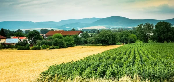 Colorful panorama of field with countryside and mountains on the background — Stock Photo, Image