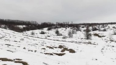 kar alan ve ağaçlar