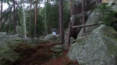 Karpat orman içinde gri büyük kayalar