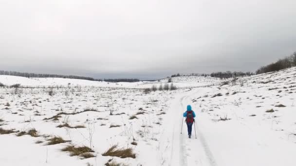 Туристичні прогулянки в снігу — стокове відео
