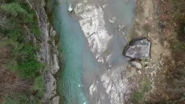 Río cerca de fprest en Cárpatos — Vídeo de stock