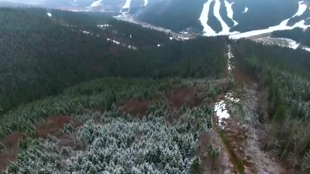 Vista sobre a floresta de montanha e pistas de esqui — Vídeo de Stock