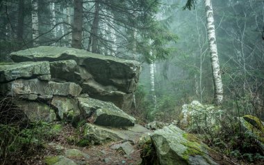 Tahtadaki çimenli taş. Yaklaş.