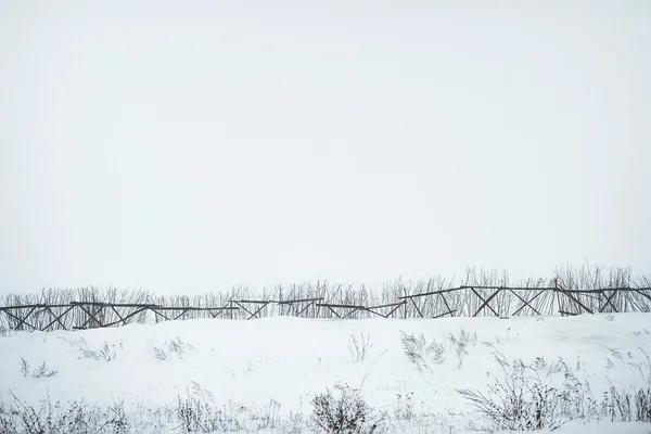 Mistige landschap met oude gebroken boom en besneeuwde veld — Stockfoto