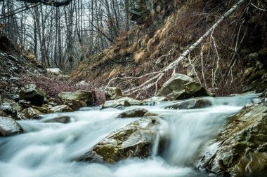 dağ nehir taşları üzerinde akan