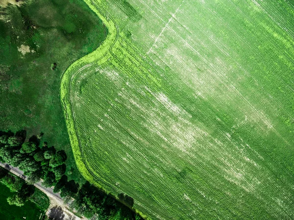 Lush green field with road — Stock Photo, Image