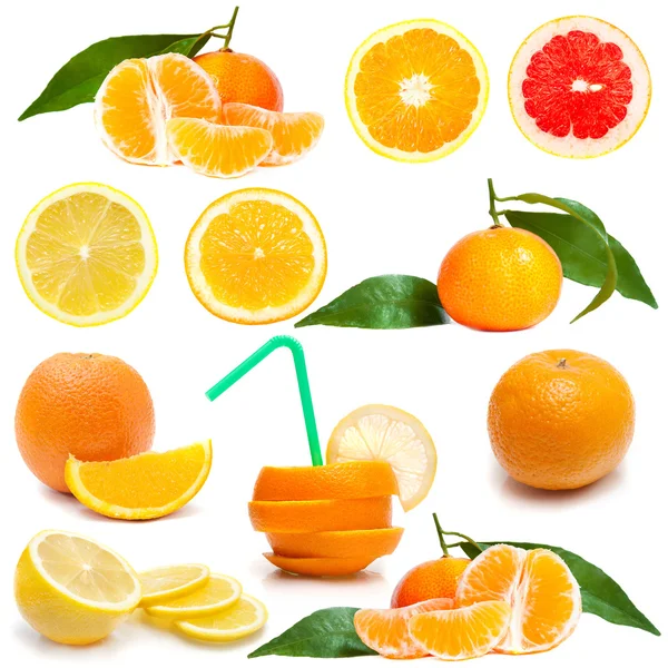 Fresh citrus on white — Stock Photo, Image