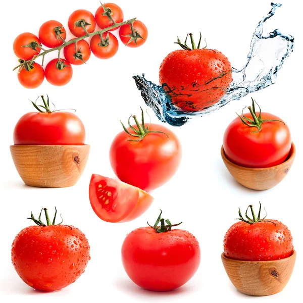 Pomodori su bianco — Foto Stock