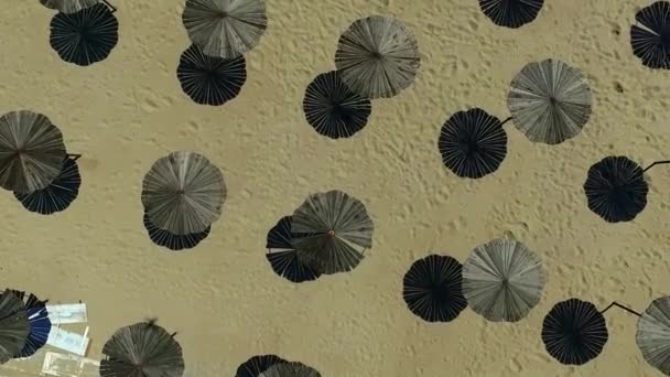 Wooden sunshade umbrellas on a beach — Stock Video