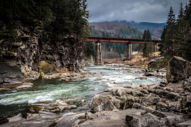 Karpat Dağları içinde nehir ve demiryolu Köprüsü ile manzara