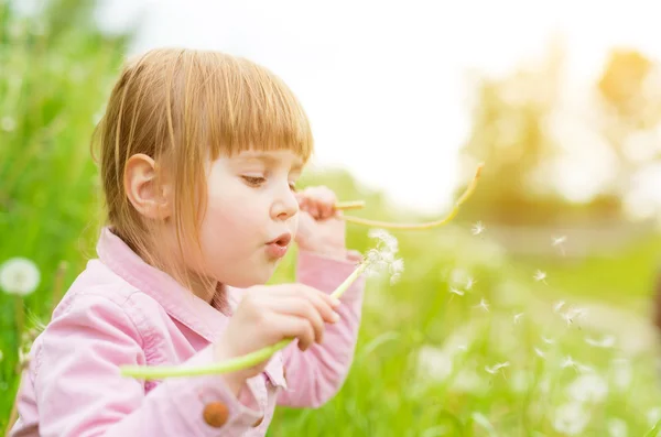 Schattig klein meisje blazen af paardebloemen — Stockfoto