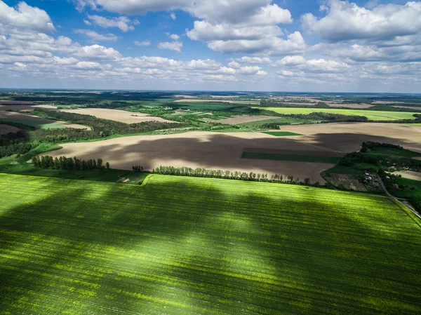 Piękny widok na jezioro, porośnięte stroiki — Zdjęcie stockowe