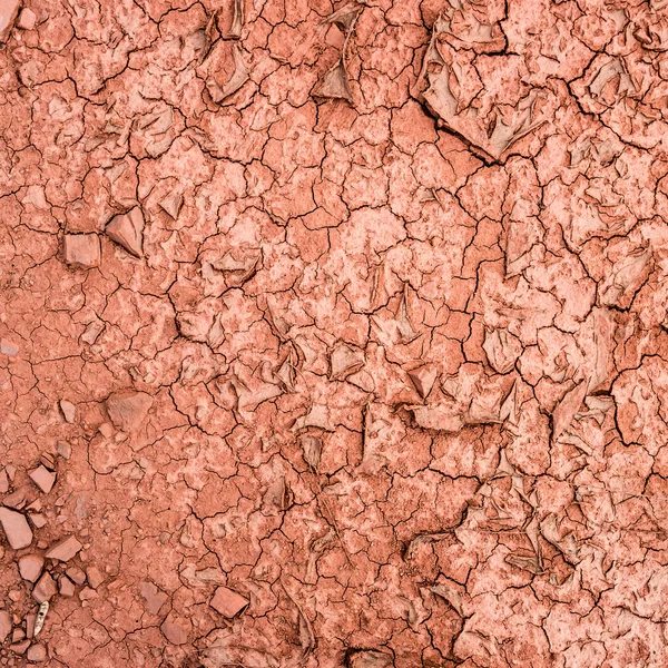 Terra rossa incrinata in minerale di ferro — Foto Stock