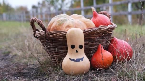 Хеллоуїн гарбузи з обличчями на осінній траві — стокове відео