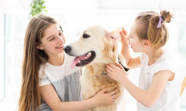 Glimlachende vrienden spelen met schattige hond — Stockfoto