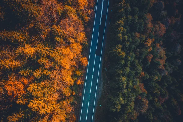 Estrada pavimentada entre árvores de outono — Fotografia de Stock