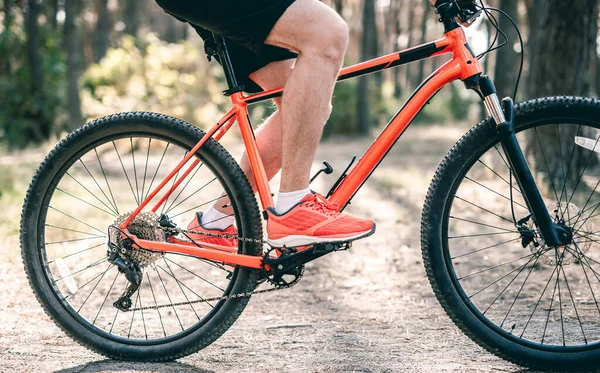 Man rida cykel genom solig skog — Stockfoto