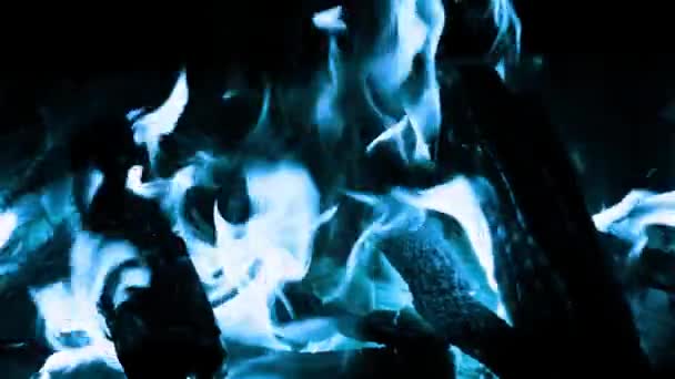 Синій вогонь крупним планом — стокове відео