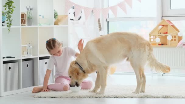 Glückliches kleines Mädchen füttert süßen Hund — Stockvideo