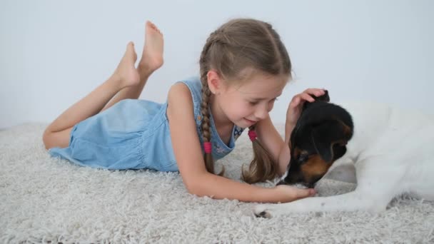 Kid alimentando terrier raposa da mão — Vídeo de Stock