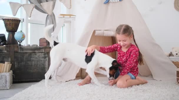 Маленькая девочка играет с домашней собакой — стоковое видео
