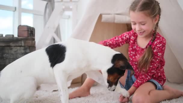 Маленька дівчинка грає з домашнім собакою — стокове відео