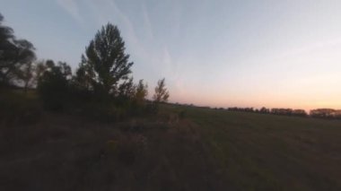 Hava aracı gün batımında ağaçların ve tarlaların yanında uçuyor.
