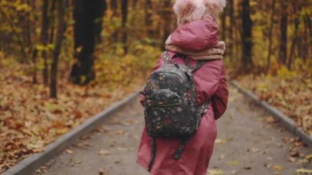 Schulmädchen spaziert im Herbstpark — Stockvideo