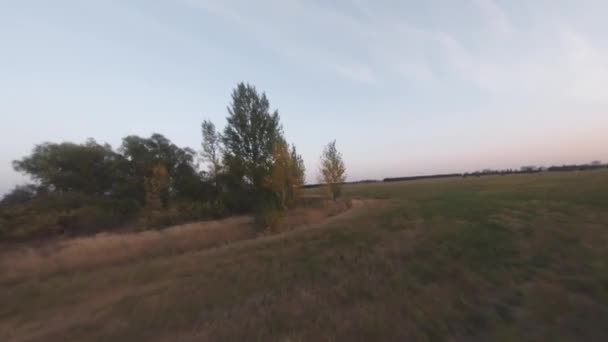 Dron volando cerca de los árboles y el campo al atardecer — Vídeo de stock