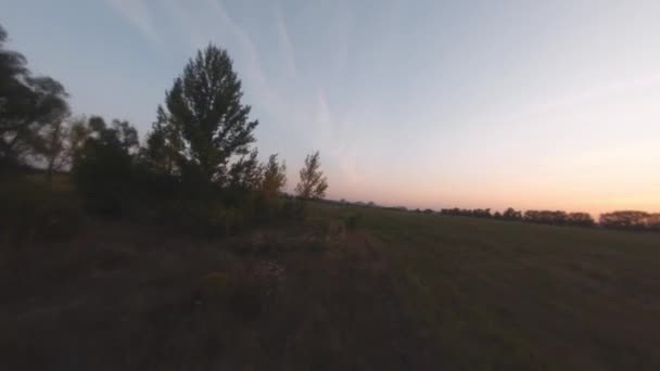 Drönare flyger nära träd och fält vid solnedgången — Stockvideo