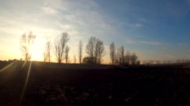 Çıplak sonbahar ağaçlarına doğru uçuyor.