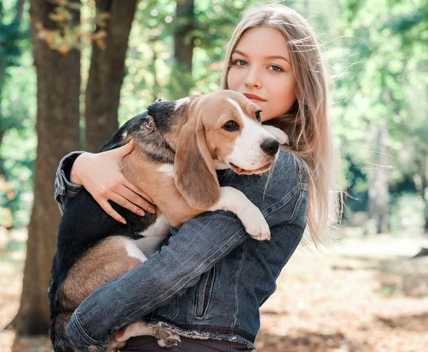 Linda chica con un perro beagle —  Fotos de Stock
