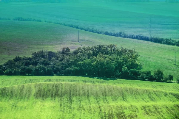 Krajobraz zielonych pól — Zdjęcie stockowe