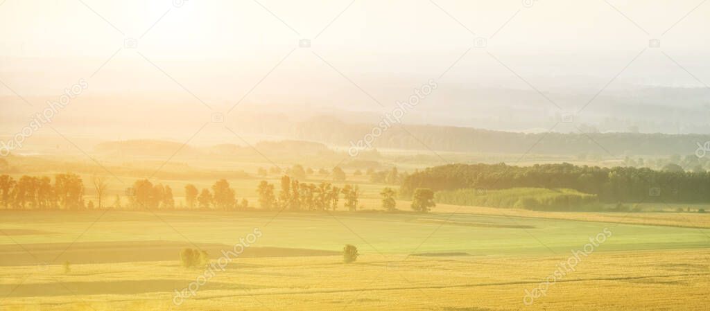 Landscape of fields and trees among