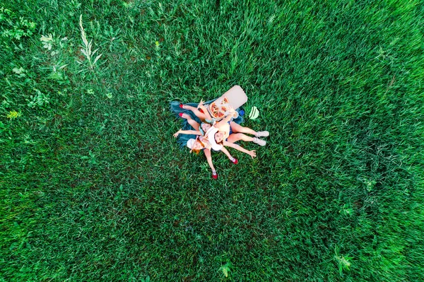 Piquenique com pizza em uma grama verde — Fotografia de Stock