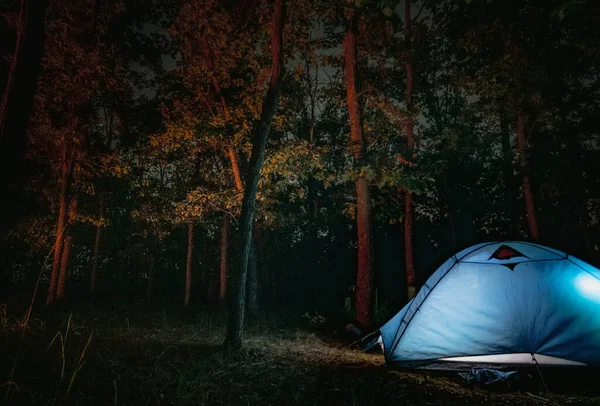 Zelt, das in Holz für die Nacht steht — Stockfoto