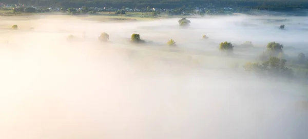 Campo mattutino coperto da fitta nebbia — Foto Stock