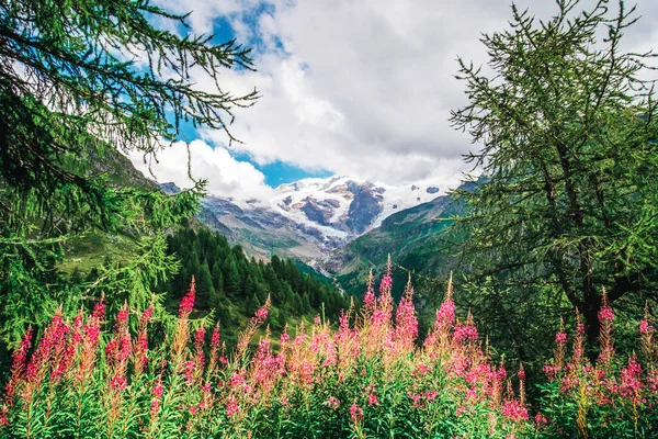 Geweldig uitzicht op besneeuwde toppen — Stockfoto