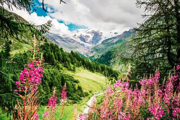 Valle entre las cimas nevadas — Foto de Stock