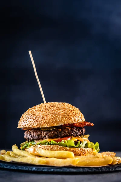 Juicy burger with french fries — Stock Photo, Image