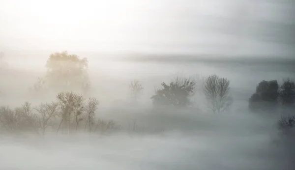 Paysage couvert de brouillard — Photo