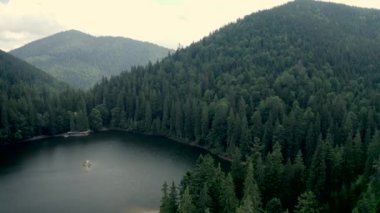 Karpatya Dağlarındaki Synevir Gölü