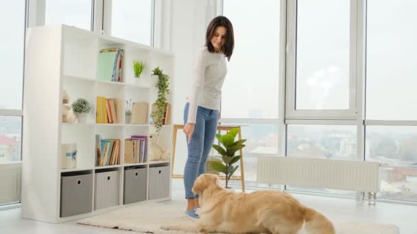 家で若い女性の訓練犬 — ストック動画