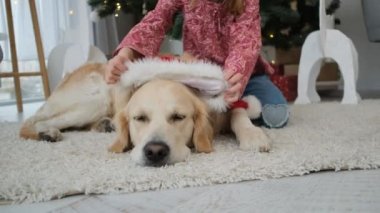 Küçük kız Noel Baba şapkasını köpeğe takıyor.