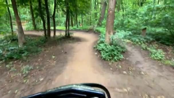 Paseo en bicicleta bosque primavera — Vídeo de stock